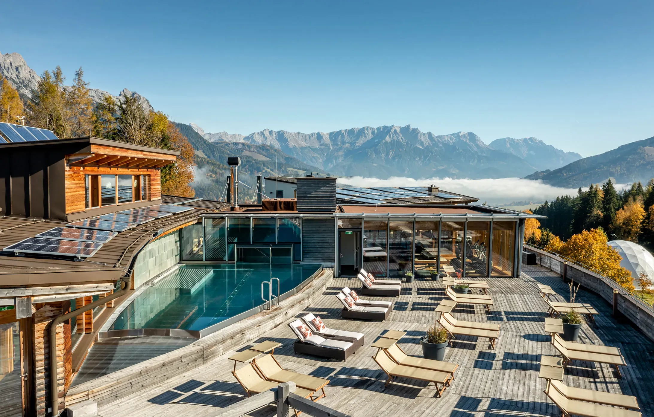 Rooftop pool at the wood hotel
